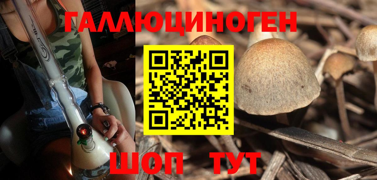 Галлюциногенные грибы Psilocybe Сарапул