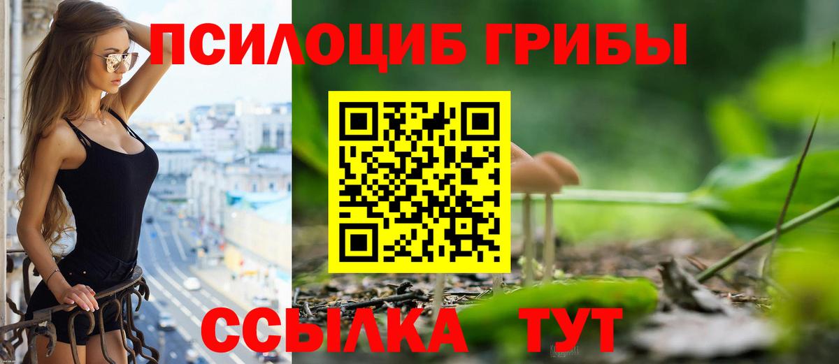 Галлюциногенные грибы Psilocybe  Вход с VPN  Сарапул 
